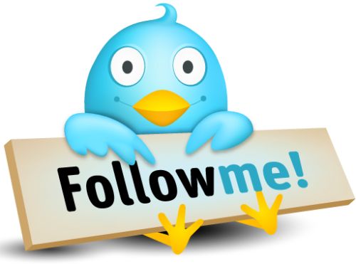twitter-follower